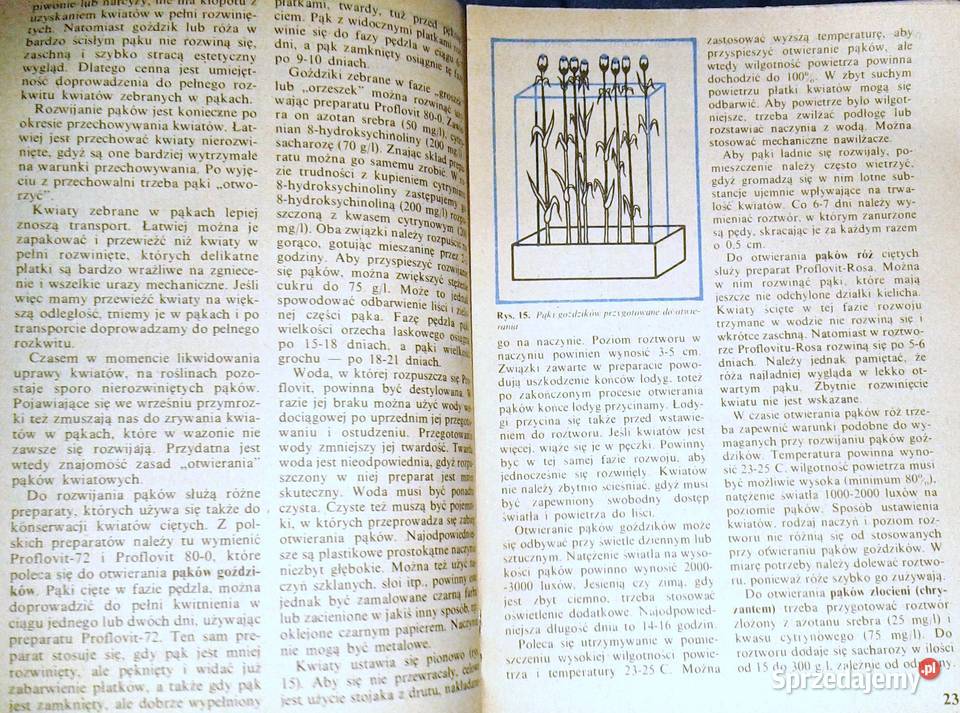 utrwalać i układać Kwiaty cięte w wazonie Rok wydania 1988 lubelskie Chełm sprzedam