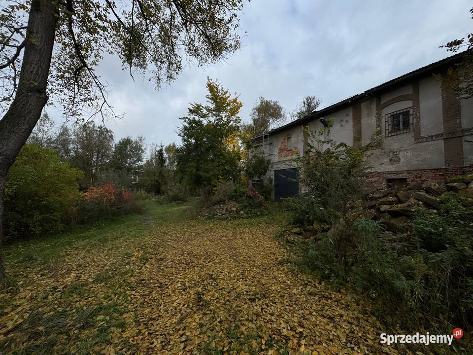 dom budynek Raciborowicedo sprzedaży wynajmu 560m2