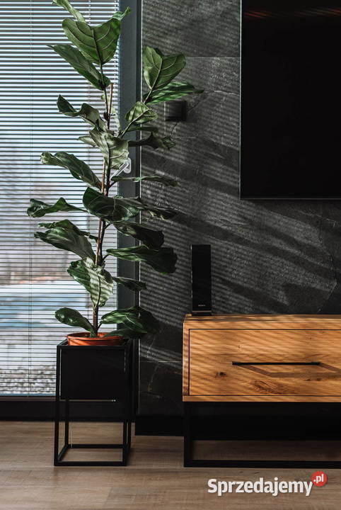 Szafka RTV Loftowa BARGO Lublin