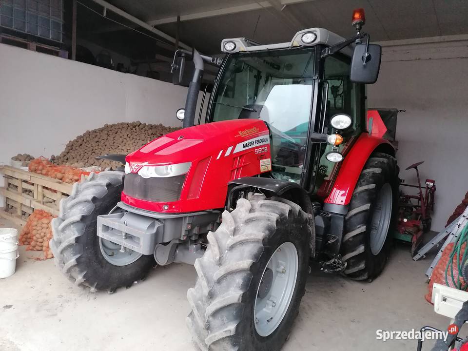 Massey ferguson 5608 5609 polski pierwszy Massey Ferguson Kowalewo Pomorskie sprzedam