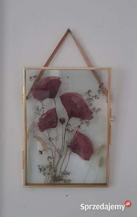 Obraz Kwiatowy Kompozycja Wspomnienie lata Maki pomorskie Rotmanka