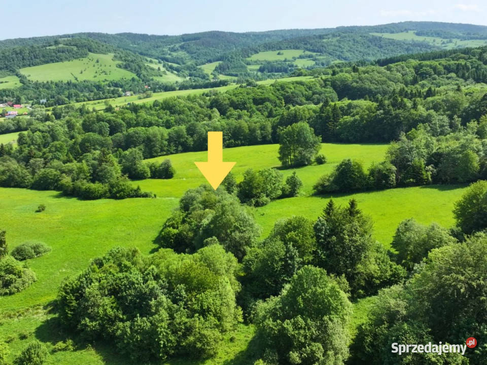 sprzedaży gruntu Baligród 5713m2 rolna Sprzedaż Grunty i działki sprzedam