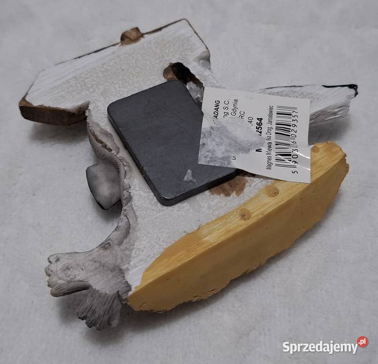 Magnes na lodówkę Jarosławiec Mewa foka 9x7 Czeladź