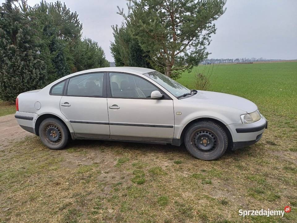 Sprzedam Zdziar Wielki
