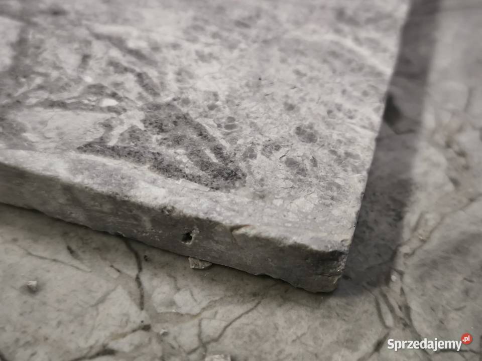 Płytki marmur Tundra Grey szlifowane 203x203x12 Gdynia