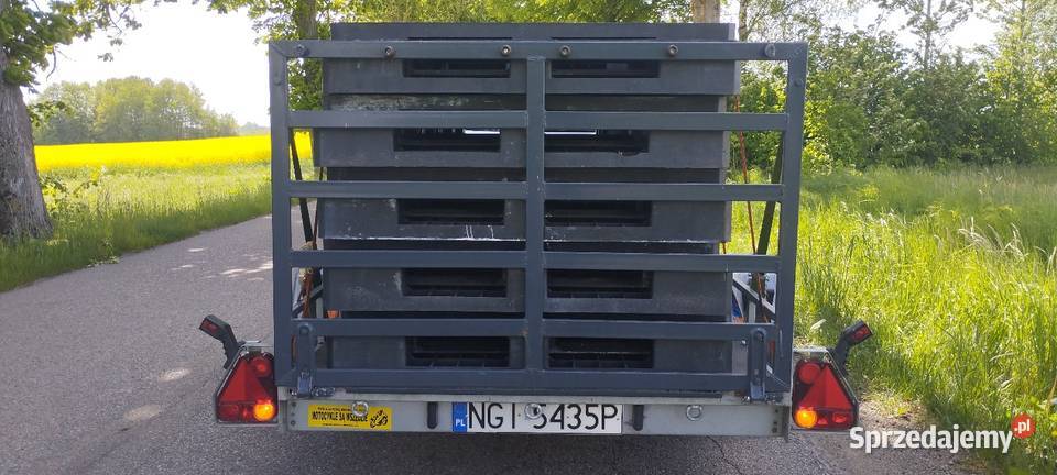 Palety plastikowe pełne 120x100 Miłki
