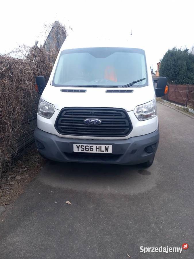 Ford transit anglik lubelskie Biała Podlaska