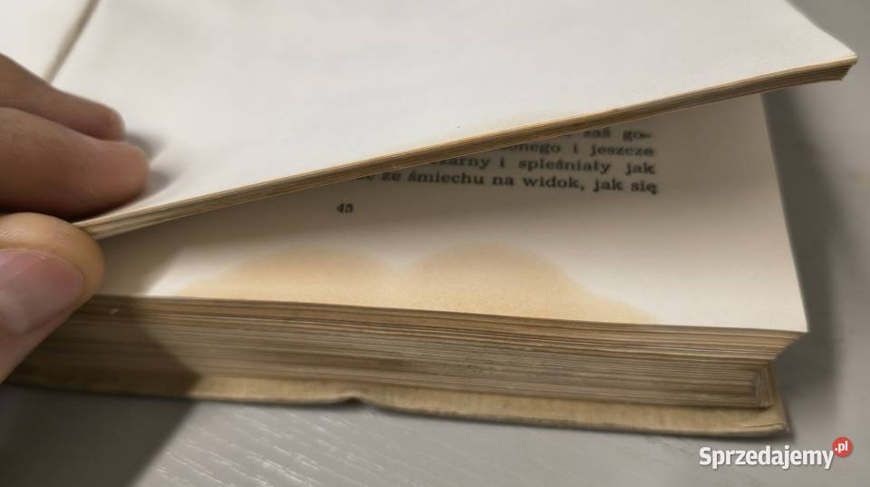 Don Kichote z Manczy Miguel de Cervantes Sosnowiec