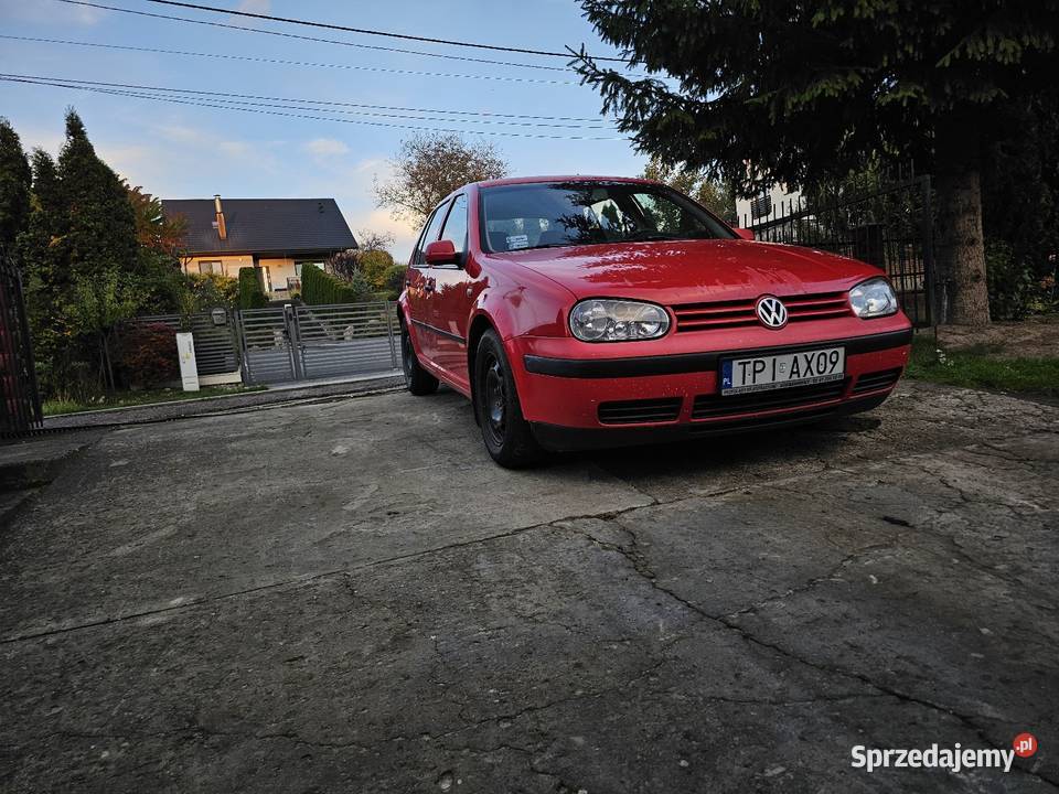 Golf 4 19 sdi małopolskie Kościelec sprzedam