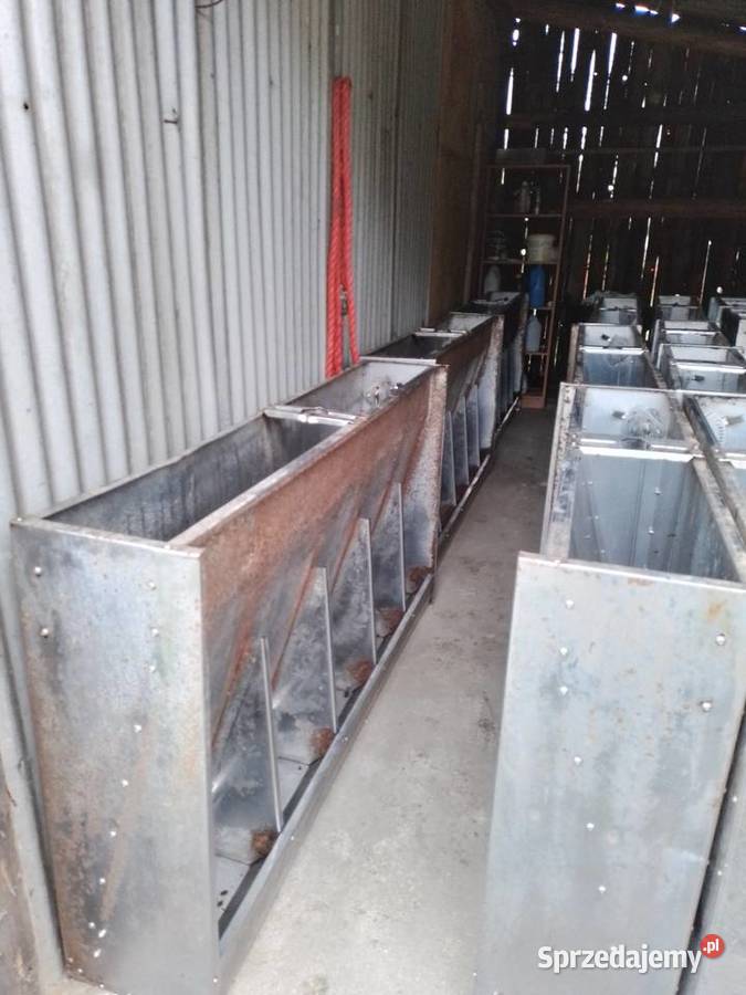 Paśniki świń ze stali nierdzewnej wielkopolskie