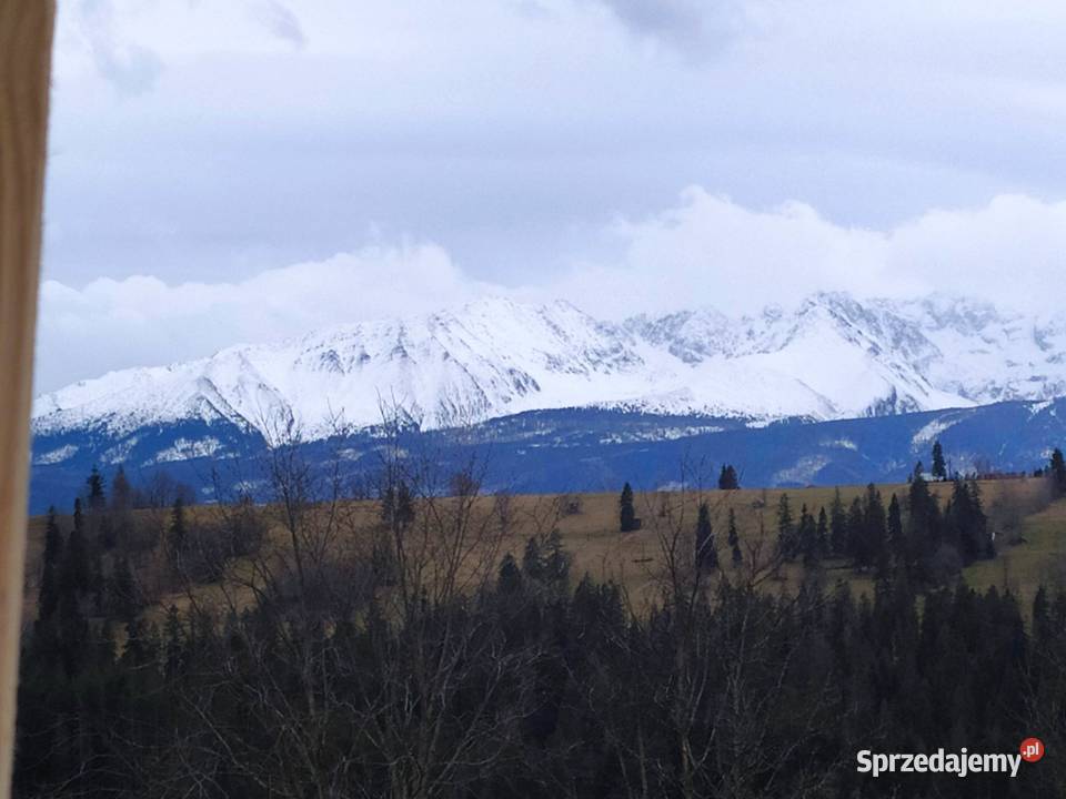 Nowy dom jednorodzinny z widokiem na Tatry ogródek Sprzedaż Sprzedaż sprzedam