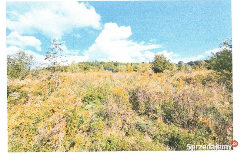 Syndyk sprzeda działki niezabudowane Bogatynia sprzedam