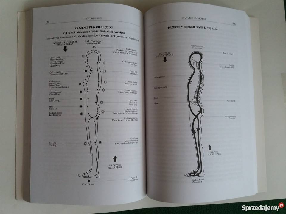 Reiki Przewodnik sztuce uzdrawiania Diane Stein Rzeszów sprzedam