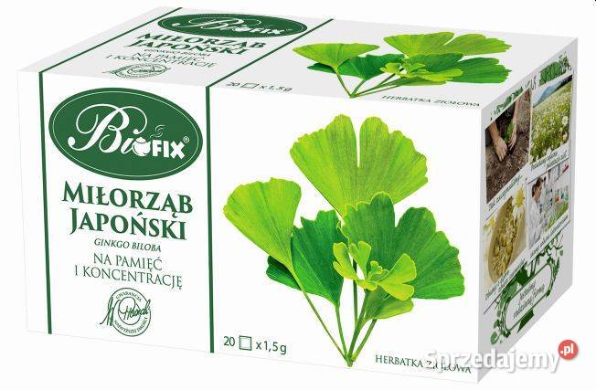 Bifix herbata morwa biała ostropest plamisty Stare Miasto sprzedam