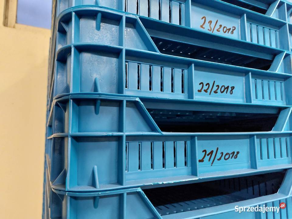 Doniczki produkcyjne 1 2 5 i 75l używane wielkopolskie Sompolno