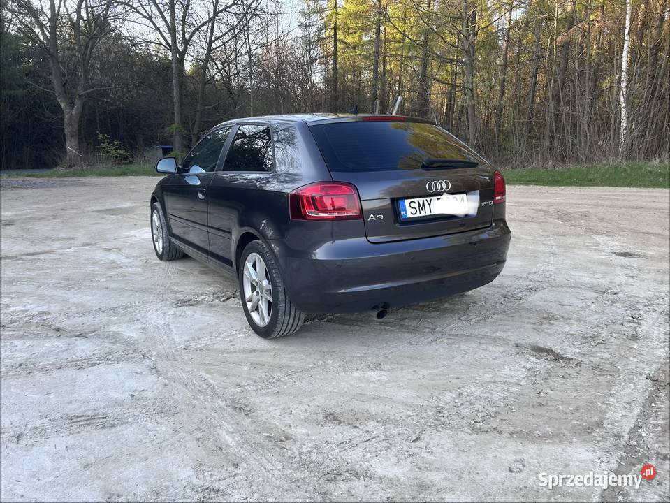 Audi A3 8PA 16TDI 105 Żarki
