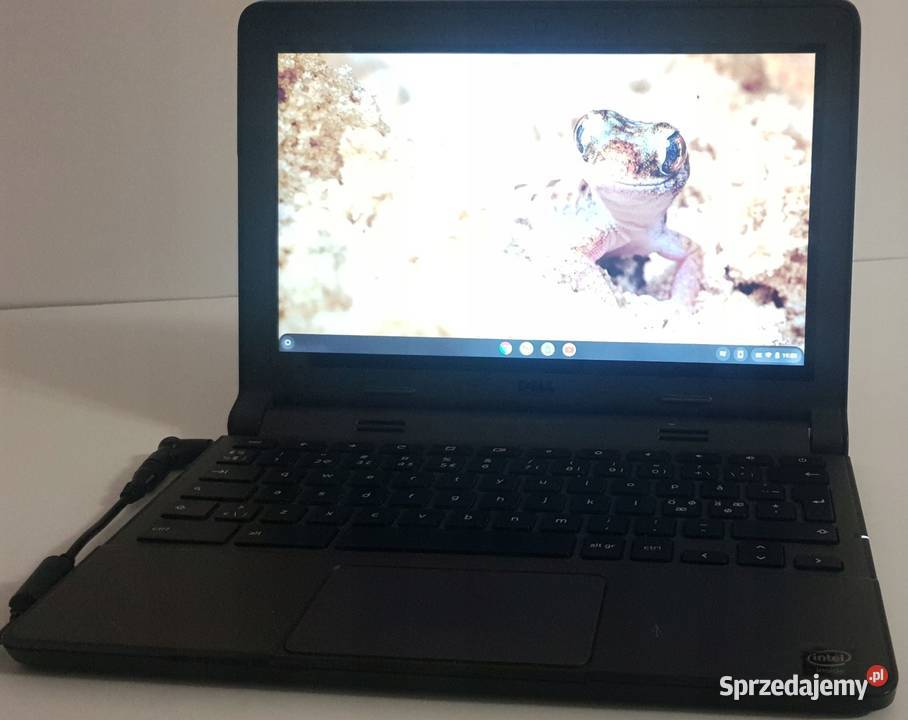 Dell Chromebook 11 116 Sprawny Lekki i szybki do Warszawa sprzedam