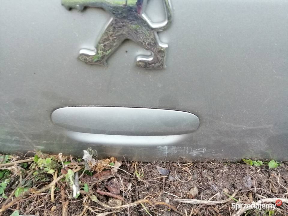 KLAPA TYLNA BAGAŻNIKA PEUGEOT 307 HB Rok produkcji 2004 Mężenin