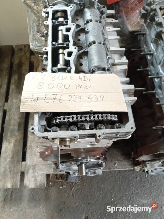 Silnik 2022 bluehdi jumperboxer Konin