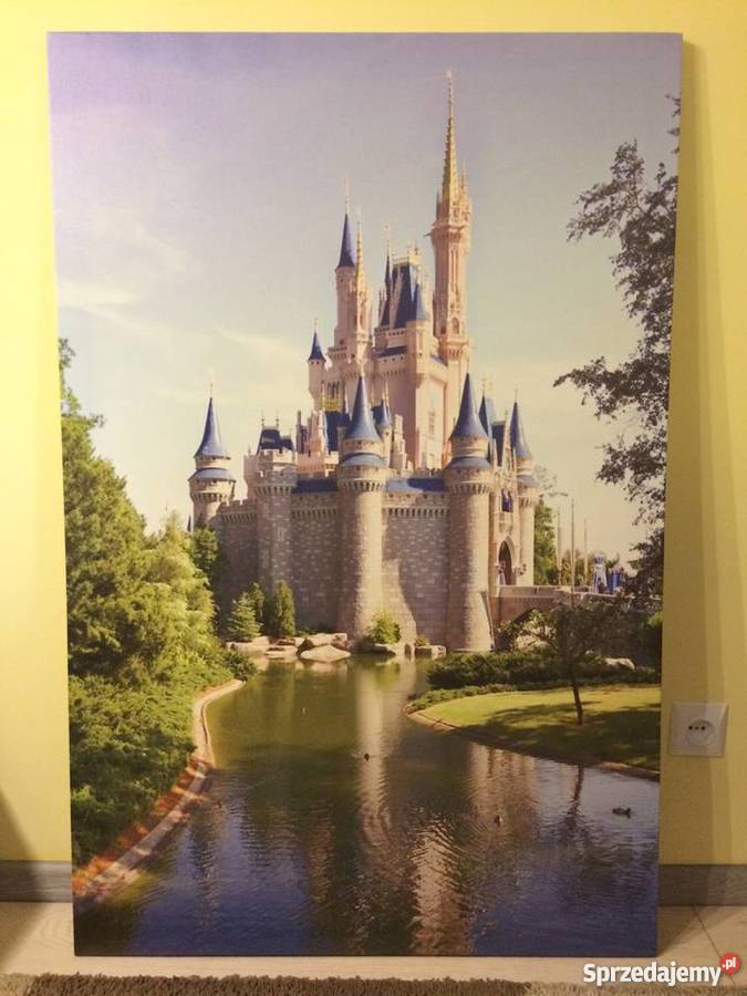 Obraz Zamek Disney Brzoza