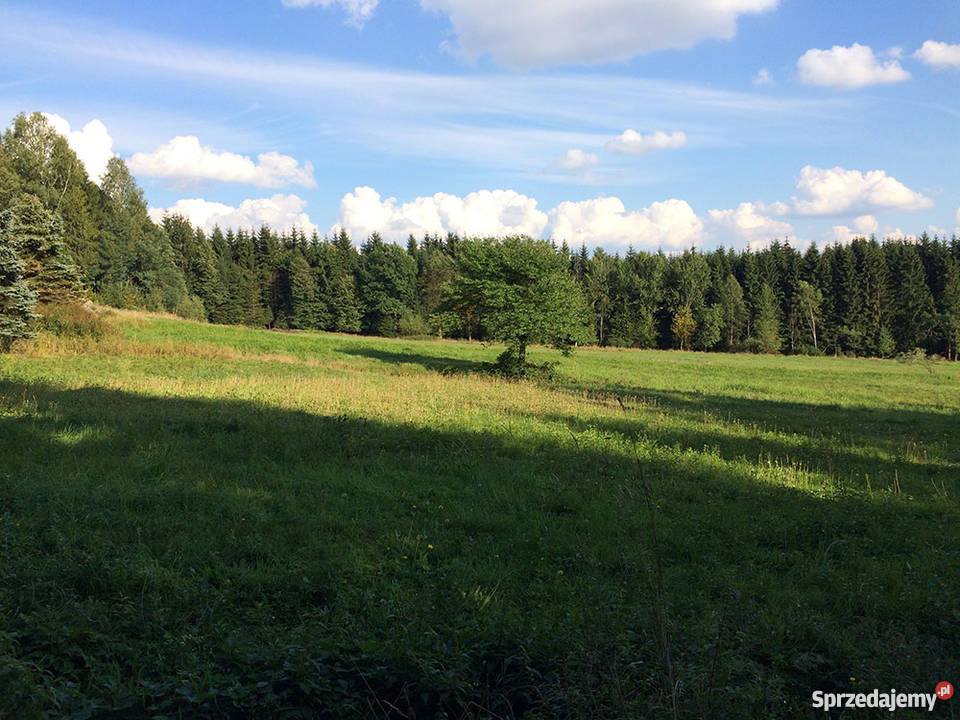 Działka budowlana w górach w Istebnej 7300m2 Grunty i działki Istebna