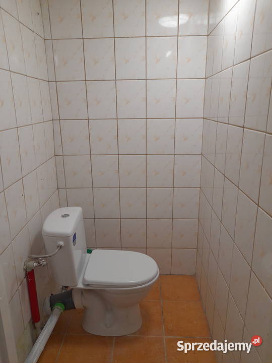 Lokal HandlowoUsługowy 70 m2Czeladź Wokowicka 1