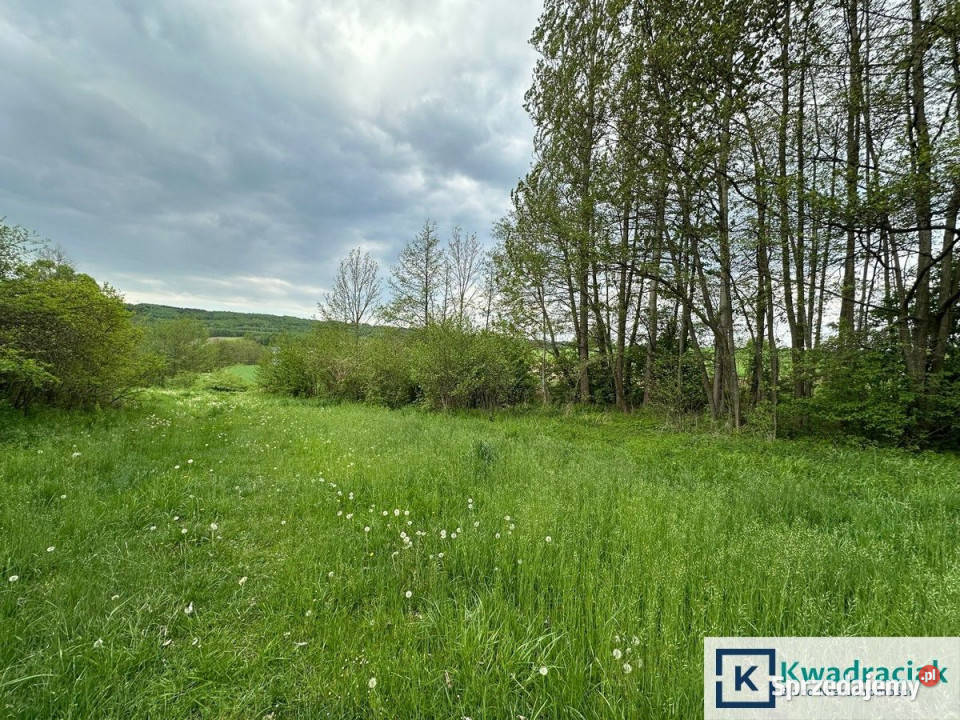 Grunt Gogołów 12200m2 sprzedam