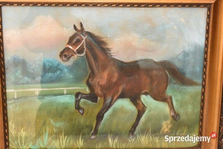 Jerzy Kossak Galopujący Koń Arabski Obraz Pastel Obrazki i obrazy