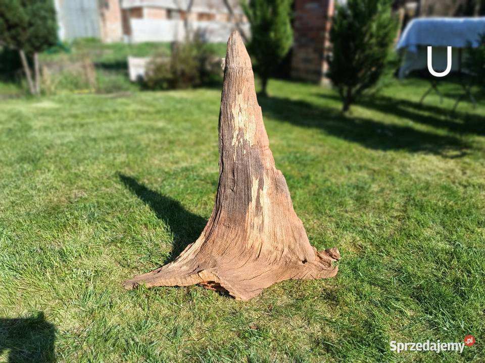 Korzeń ozdobny do domu ogrodu akwarium Trzciel