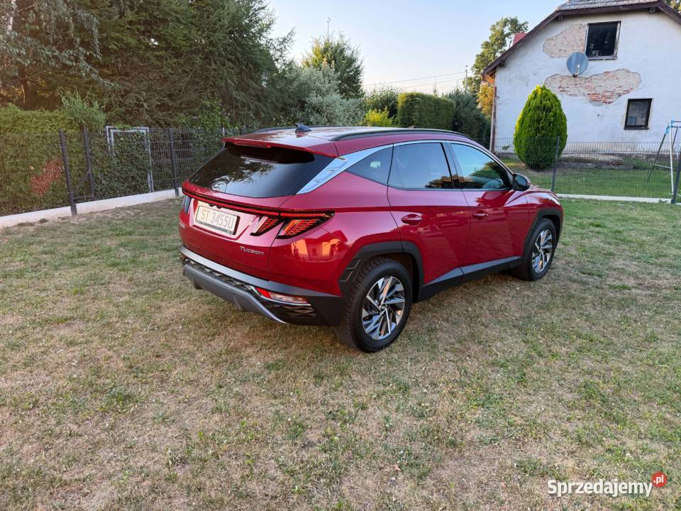 Hyundai Tucson 16 TGDI 150 6Manual komputer pokładowy Pszczyna