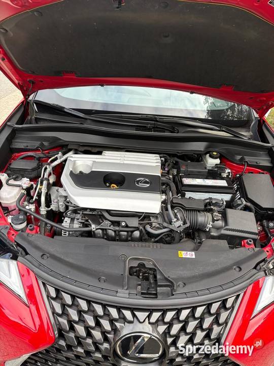 Lexus UX200 Buisness 1Właściciel Salon Polska Pogorzelica