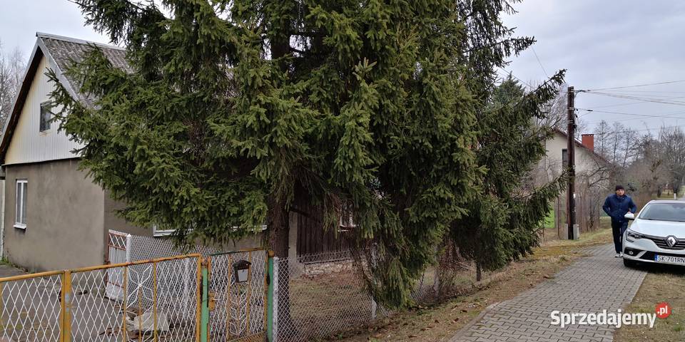 SprzedamTANIO śląskie Dąbrowa Górnicza