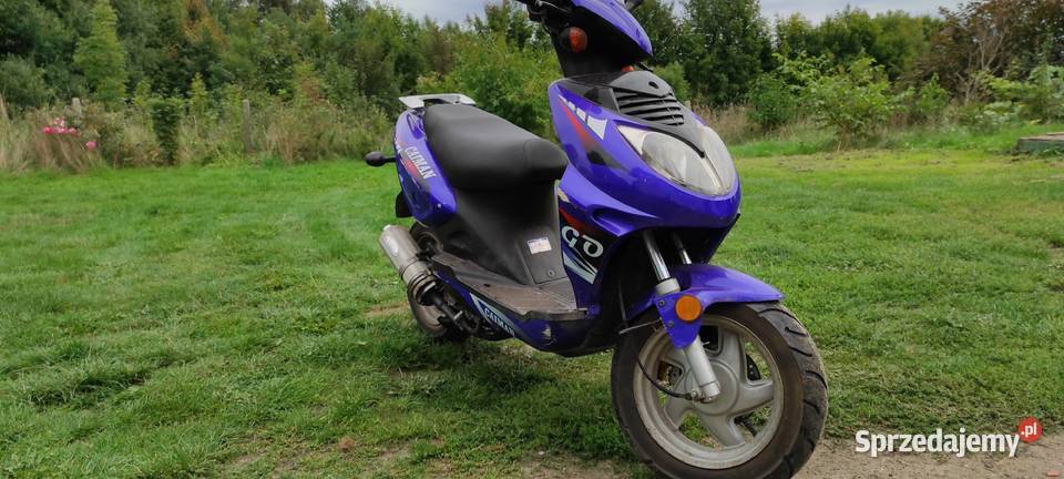 Skuter Zipp baotian caiman