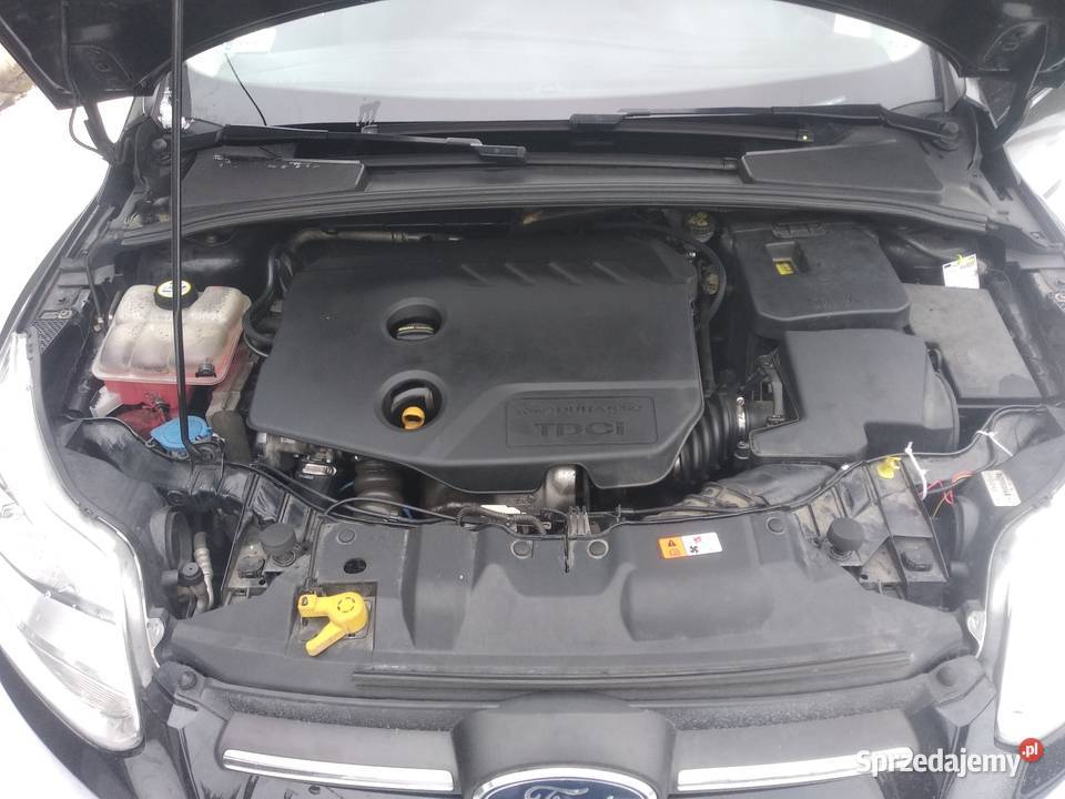 Ford Focus MK3 16 TDCi 2014 95 Żywiec