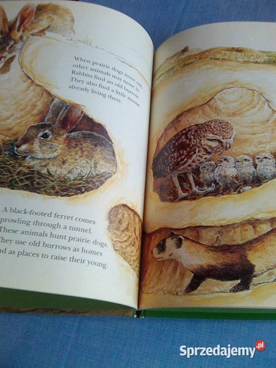 National Geographic Society Warszawa