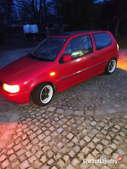 VW polo 6N faltdach na cześći Krosno Odrzańskie