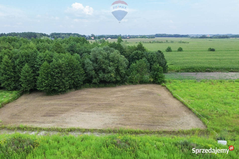 Działka 1501m2 Kłudno Nowe gm Grodzisk sprzedam