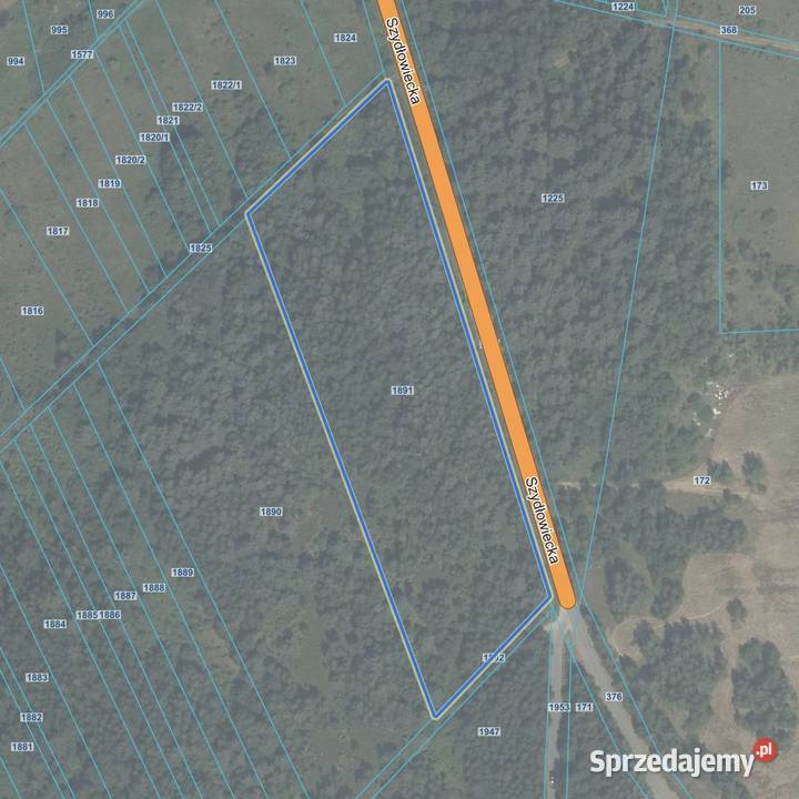 Nieruchomość gruntowa niezabudowana 37400 ha Smagów