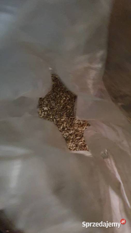 Regranulat politylen plastik miał cząstki worek Pozostałe Warszawa