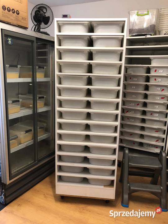 Rack System regał węży