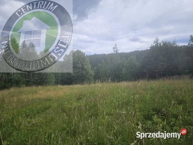 Działka Jamnica 1000m2 małopolskie