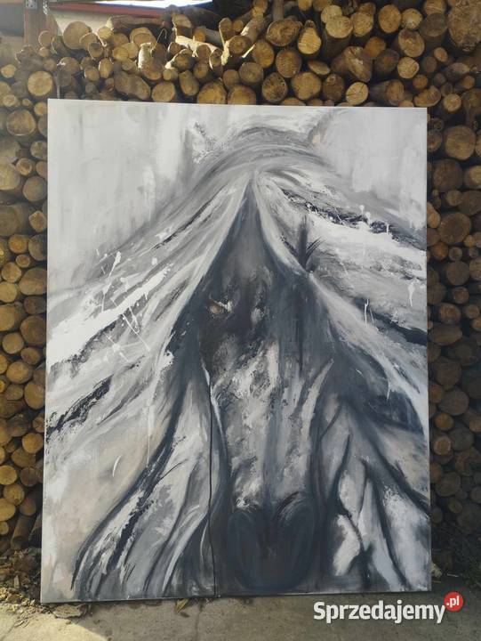 Obraz konia w abstrakcyjnym ujęciu Pełczyce