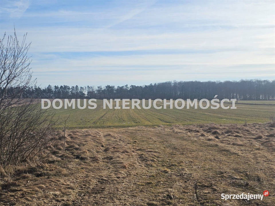 Działka 4500m2 Polik