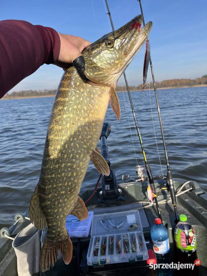 łudka wędkarska z przyczepą Sporty wodne Świecie