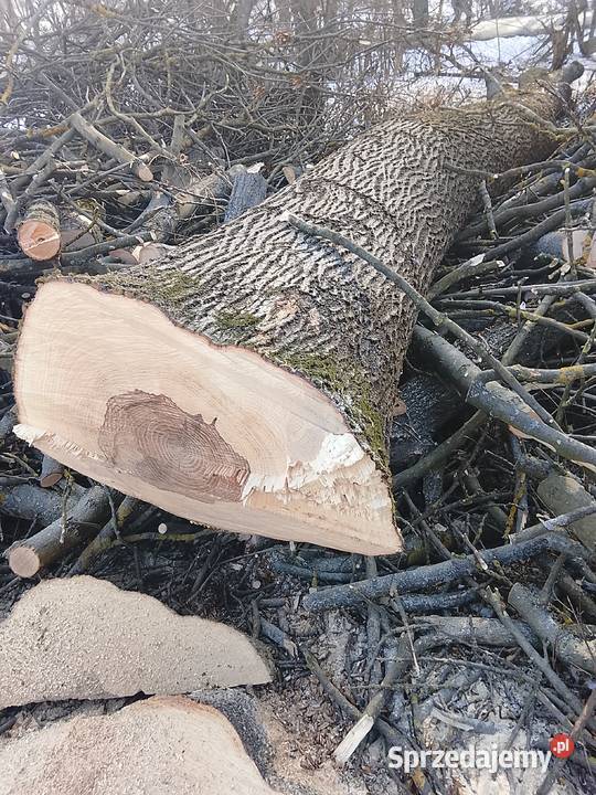 Sprzedam małopolskie Kanna