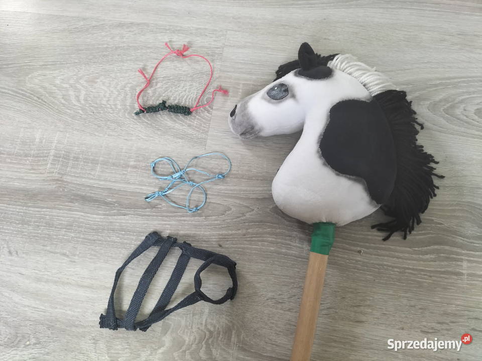 Sprzedam hobby horse hca horse Świdnica Polska