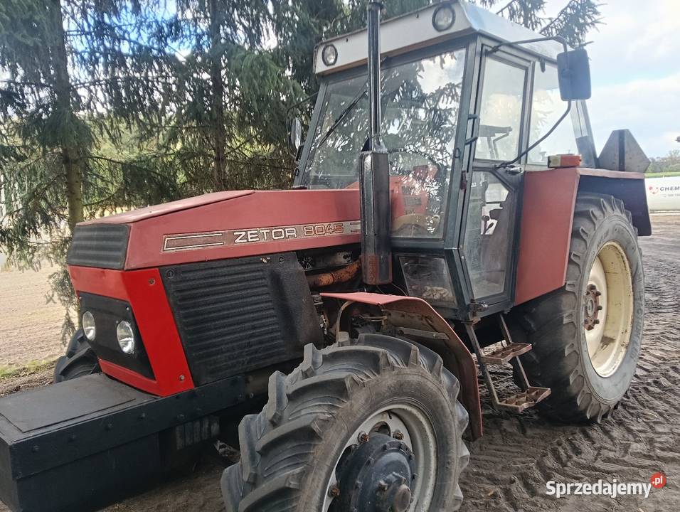 Zetor 8145 Włocławek