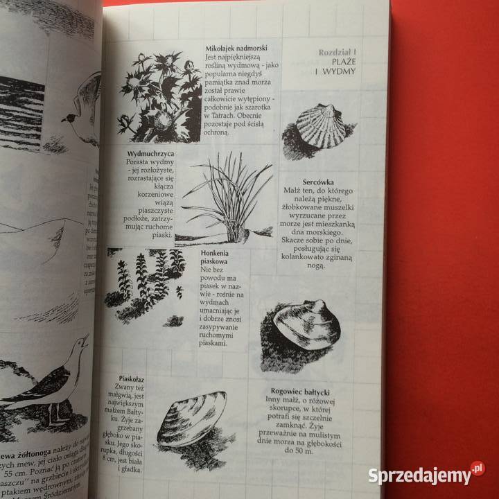 2169 Wybrzeże Bałtyku Świnoujścia Do Mrzeżyna Szczecin