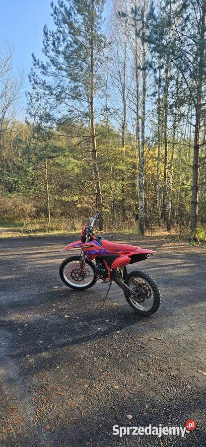 Cross Asix Lizzard 300ccm 2025r Blochy