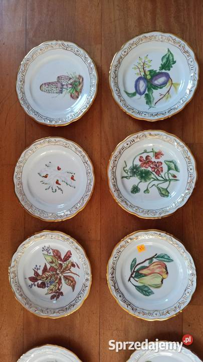 Przepiękne ręcznie malowane owoce na białej Gdańsk